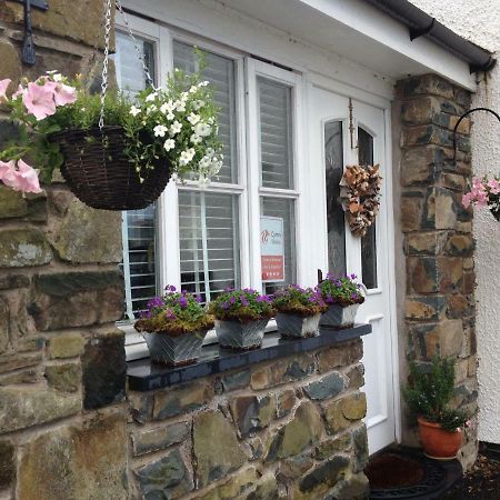 Snowdonia Snug - Studio Style Accommodation Dolgellau Zewnętrze zdjęcie