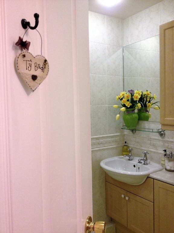 Snowdonia Snug - Studio Style Accommodation Dolgellau Zewnętrze zdjęcie