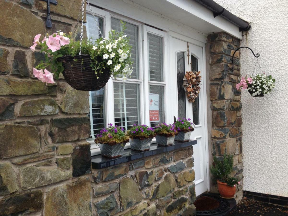 Snowdonia Snug - Studio Style Accommodation Dolgellau Zewnętrze zdjęcie